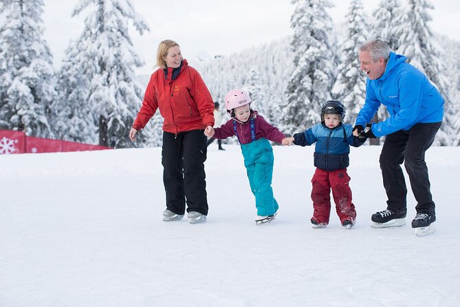 Grouse Mountain Admission Ticket - Whats Included in the Admission Ticket