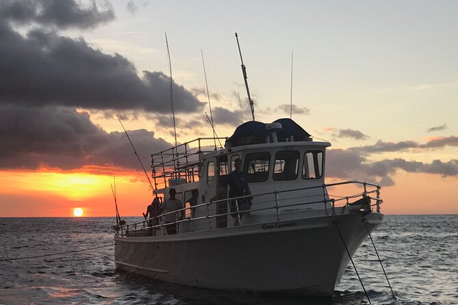 Guaranteed Whale Watch in Kona - Meeting Point and Departure Time