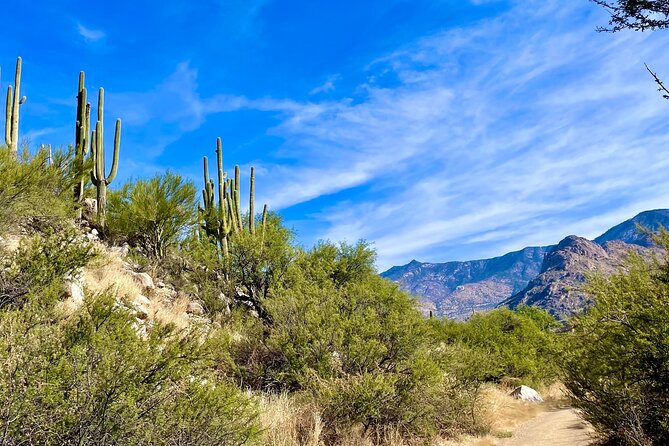 Guided 2 Hour Horseback Ride Catalina State Park Coronado Forest - Pricing and Booking Details