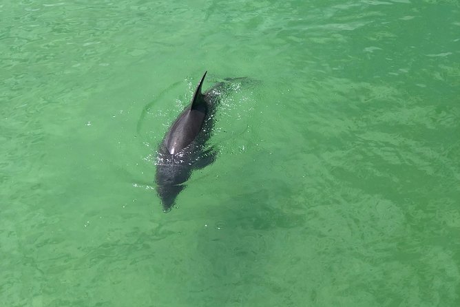 Guided Bike Tour - Downtown Naples Florida - Overview and Highlights