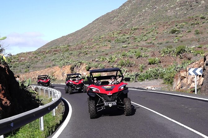 Guided Buggy Tour Through Teide National Park - Reviews