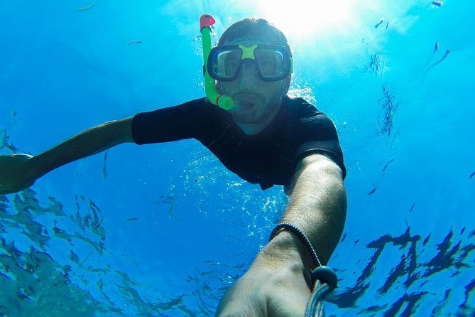 Guided by Divemaster, Cabo San Lucas Short Snorkeling Tour MANTA - What to Expect