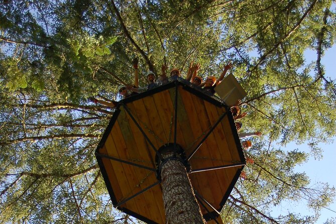 Guided Canopy Tour W/Transportation - Tour Highlights