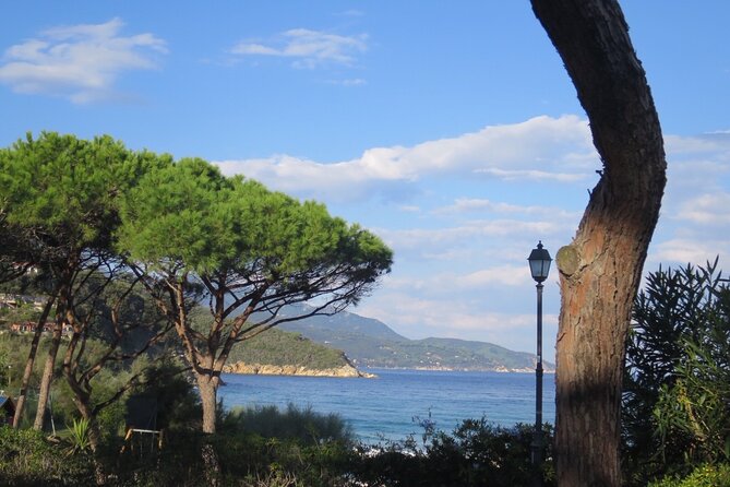 Guided Excursion Elba Island - Full Day - Overview of Elba Island Excursion