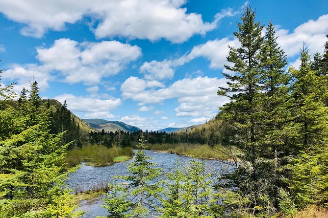 Guided Hike in Jacques-Cartier National Park - Tour Details and Logistics