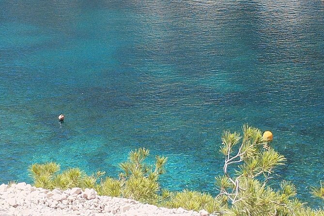 Guided Hike in the Calanques National Park - Duration and Location