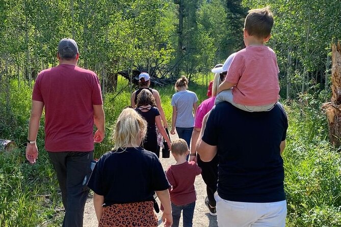 Guided Hiking Adventure in Yellowstone With Lunch - Inclusions