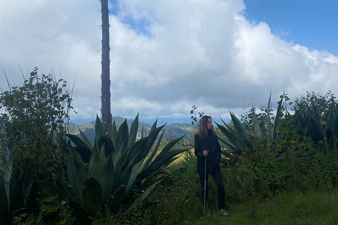 Guided Hiking in Pueblos Mancomunados on Sierra Norte - What To Expect
