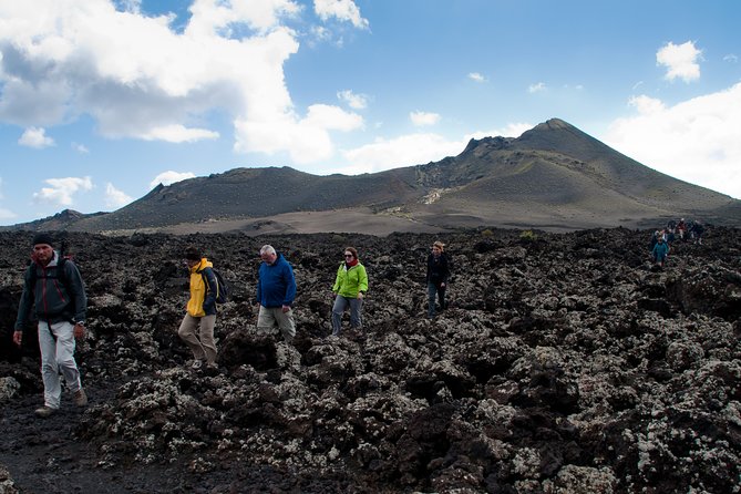 Guided Hiking in the Natural Park of Los Volcanes. - Pricing and Booking