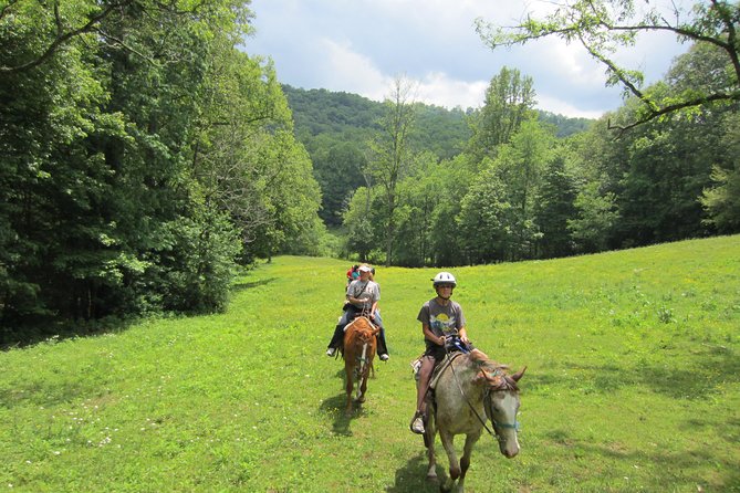 Guided Horseback Ride Through Flame Azalea and Fern Forest - Cancellation Policy