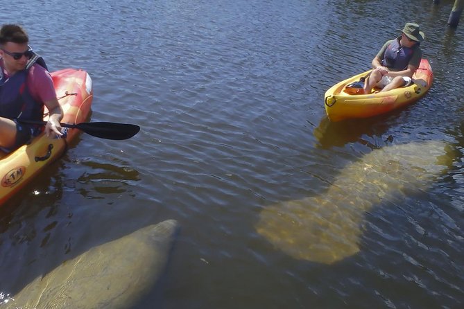 Guided Kayak Eco Tour - Bunche Beach - Pricing and Booking Details