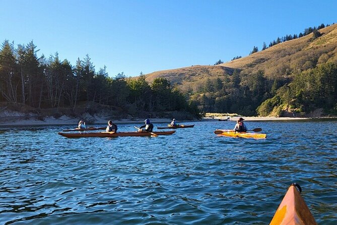 Guided Kayak Tours on the Salmon River Estuary in Otis, Oregon - Overview and Experience