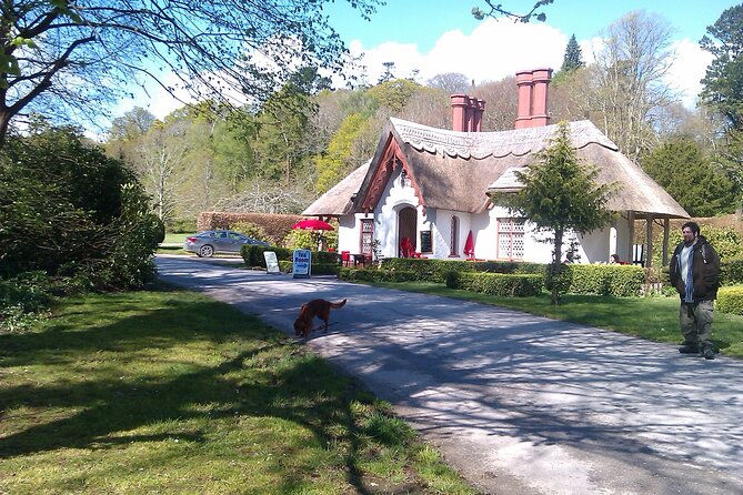 Guided Killarney National Park Walking Tour - Select Date and Travelers