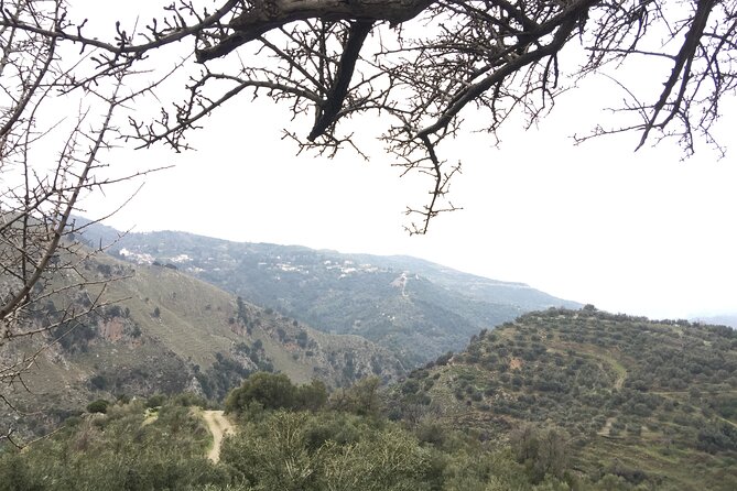 Guided Mountain Day Trip With Lunch and Wine - Gourmet Lunch and Wine Tasting