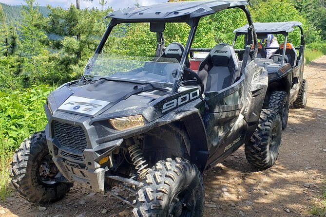 Guided Off-Road Vehicle Tours in North Idaho Forests - Pricing and Booking Details