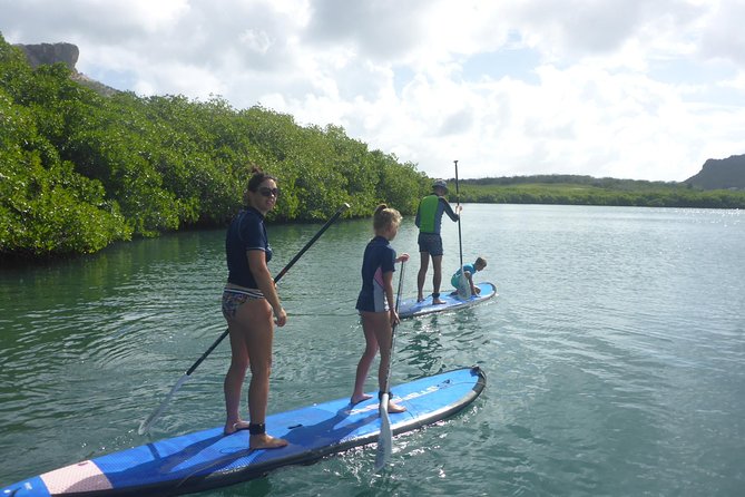 Guided Paddleboarding (Sup) Mangrove ECO Tour for Beginners - Safety Guidelines