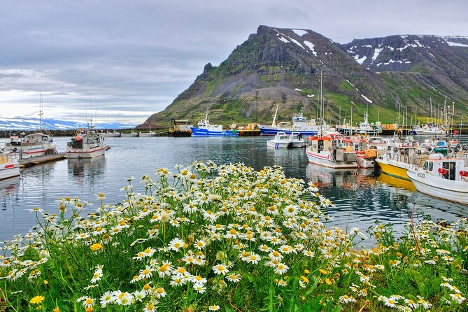 Guided Private Tour of Isafjordur and Its Fascinating Rural Surroundings - Tour Highlights
