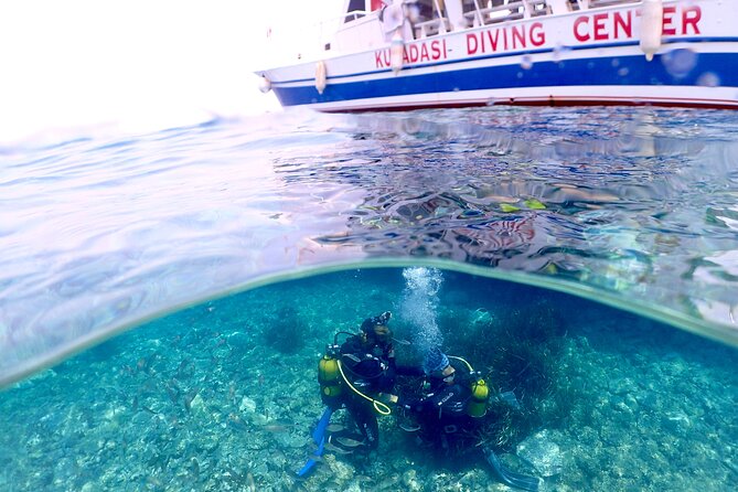 Guided Scuba Diving Experience in Kusadasi - Pricing Options and Discounts