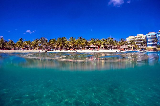 Guided Shore Dive for Certified Divers at The Wall, Blue Bay Curacao - Pricing and Value for Money