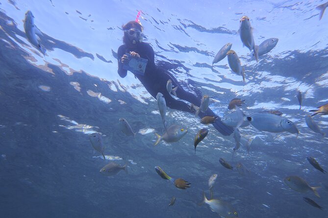 Guided Snorkeling Experience - Snorkeling Equipment Provided