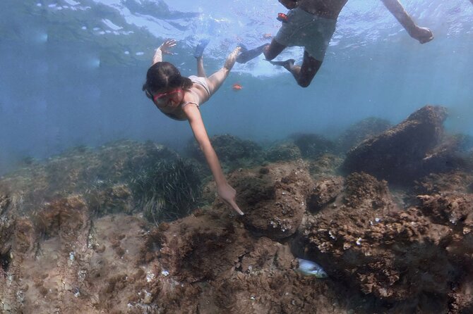 Guided Snorkeling in a Secret Spot of Begur, Costa Brava - Expert Guided Snorkeling Tour