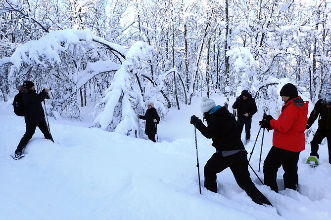 Guided Snowshoe Walk on Tromsoya Island in Tromso - Tour Overview and Inclusions