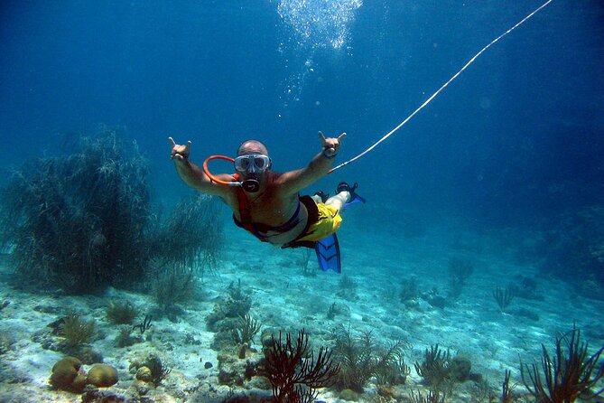 Guided SNUBA Adventure in St. Lucia  - Gros Islet - Negative Review Example of SNUBA Adventure
