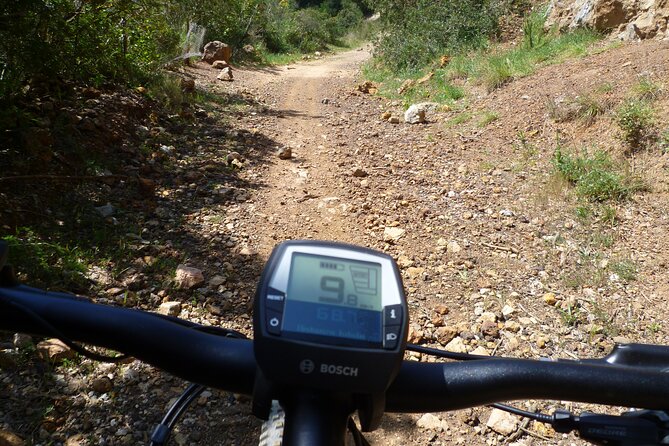 Guided Tour by E-Bike Rio Marina Mining Museum - Tour Details and Inclusions