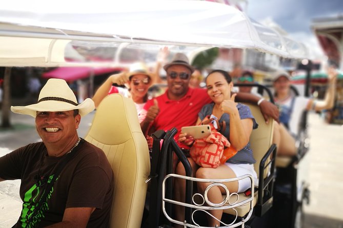 Guided Tour by Electric Tuk-Tuk - Reviews and Ratings