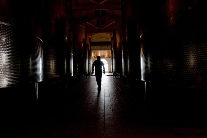 Guided Tour Cleto Chiarli With Lambrusco Tasting - Tour Highlights and Attractions