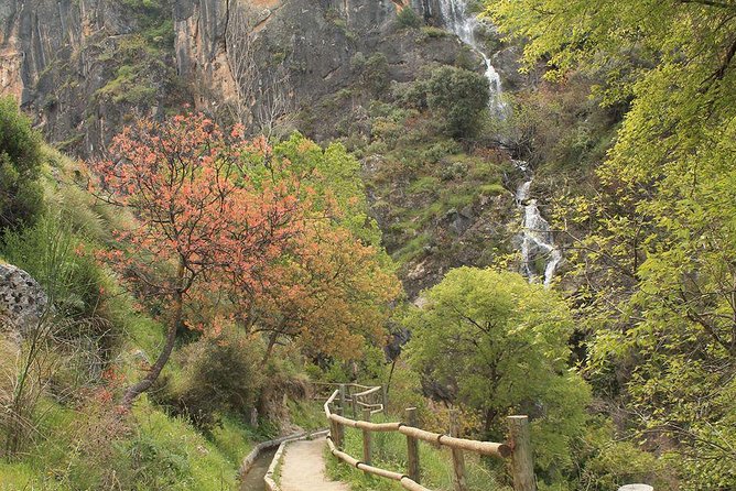 Guided Tour: Hanging Bridges Los Cahorros (S.N.) - Overview and Features