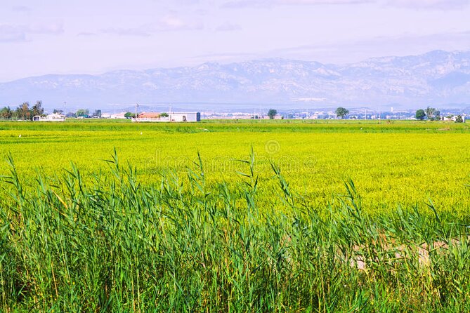 Guided Tour of the Ebro Delta - Overview and Booking Information