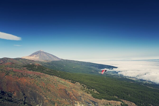 Guided Tour to Teide National Park in Tenerife - Reviews