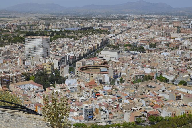 Guided Visit to the Alicante Bullring and Bullfighting Museum - Traveler Experience