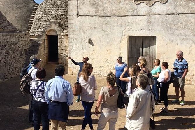 Guided Visit to the Vineyard With Wine Tasting - Reviews