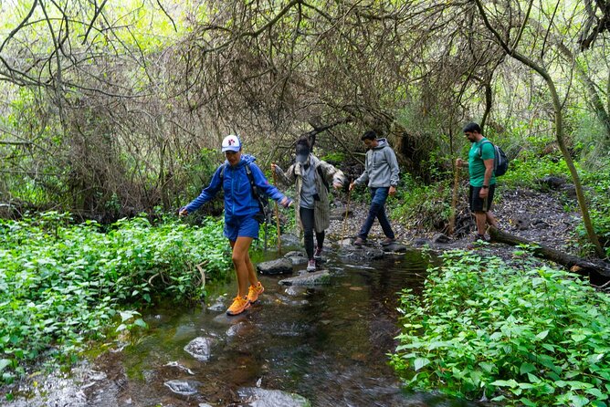 Guided Walking Route to Caldera De Taburiente - Booking and Travel Details