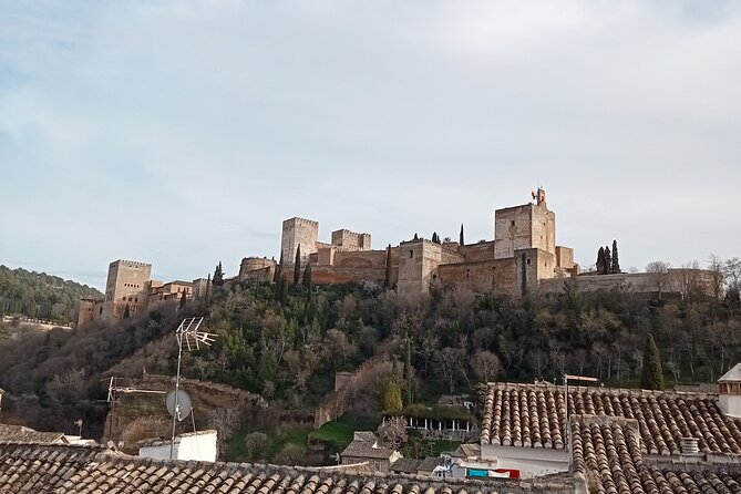 Guided Walking Tour With Panoramic Views and Terraces of Granada - Knowledgeable Guides for an Immersive Experience