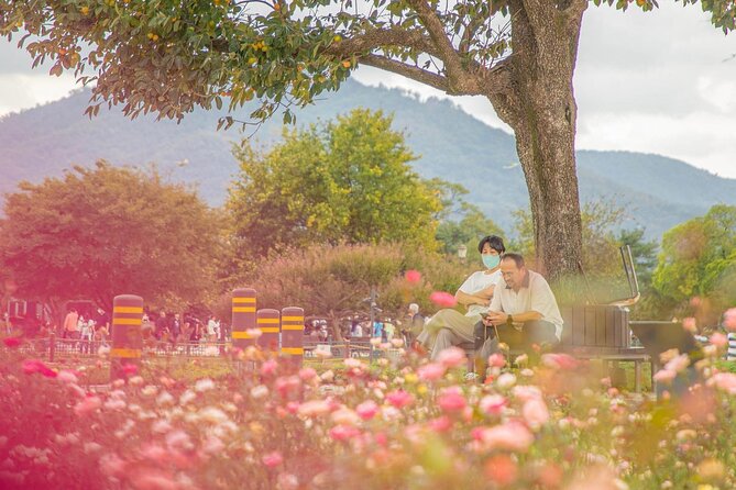 Gyeongju Maple Tour From Busan - Tour Highlights