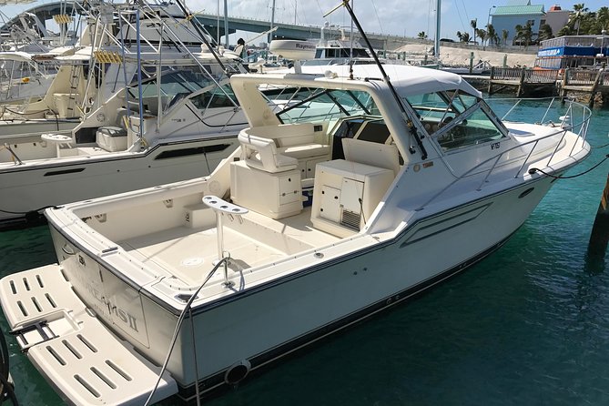 Half-Day 38ft Reel Dreams Private Charter in Nassau - End Point and Duration