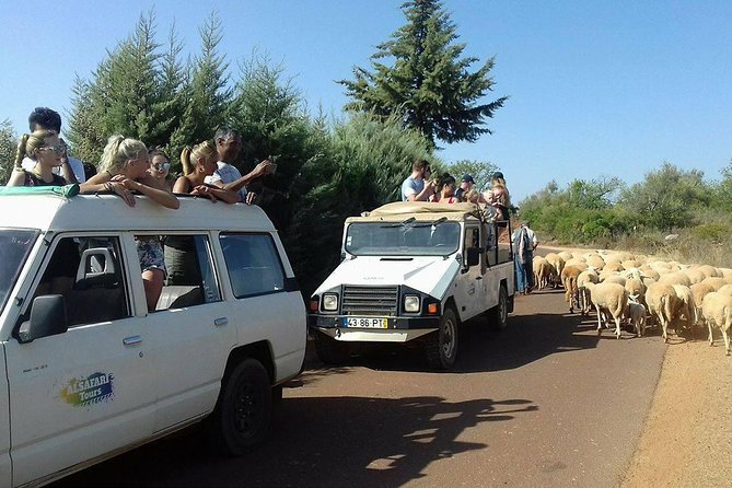 Half-Day Algarve Countryside and Villages Jeep Safari - Itinerary