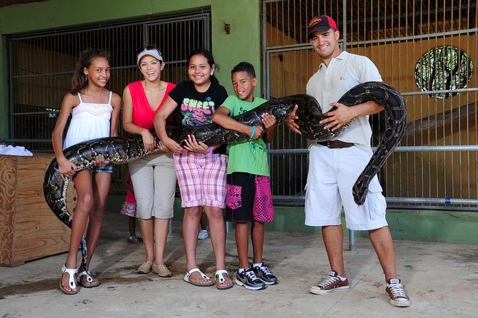 Half-Day Animal Sanctuary Tour in Aruba - Interacting With Animals
