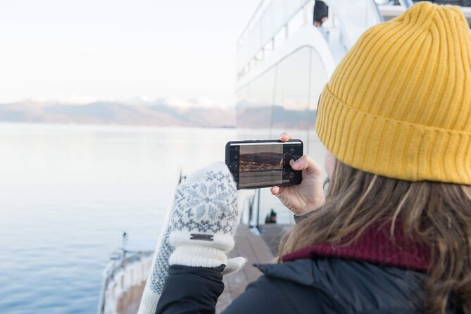 Half Day Arctic Fjord Cruise From Tromso - Tour Highlights