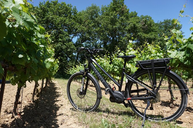 Half Day Bike Ride in Uzès and Its Surrounding Villages - Family-Friendly Fun