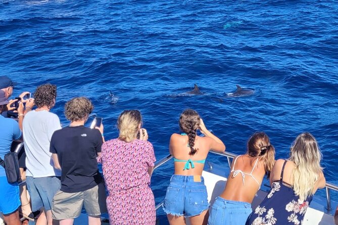 Half-Day Cruise Tour-Dolphin and Whale Watching - Dolphin and Whale Watching Experience