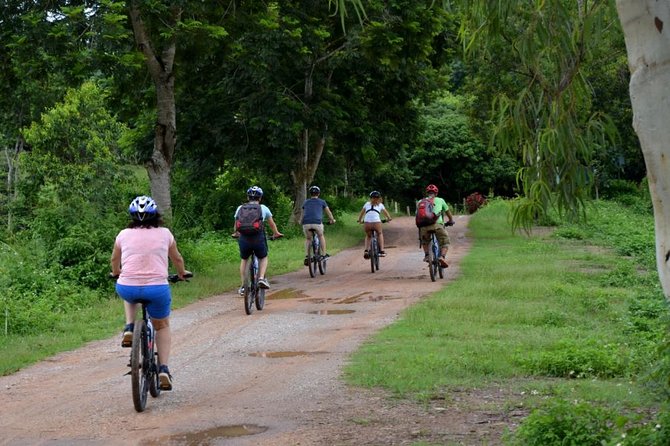 Half Day Cycling Tour to the White Temple - Overview and Tour Details