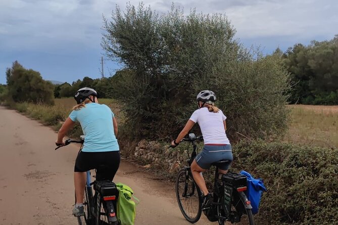 Half-Day E-Bike Tour to the Sineu Market - E-Bike Tour Itinerary