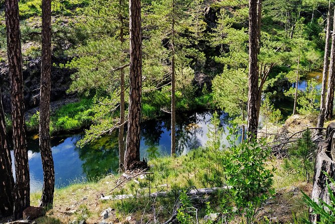 Half-Day E-Mountain Bike Adventure at Aoos Lake Metsovo - Accessibility and Transportation Information