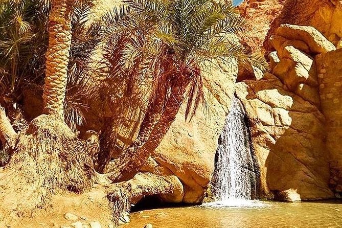 Half-Day Excursion the Mountain Oases From Tozeur - Overview and Itinerary