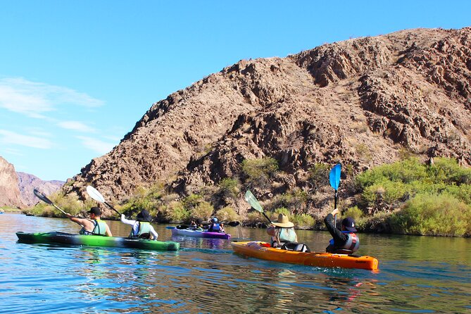 Half Day EZ Guided Kayak Tour - Pricing and Booking