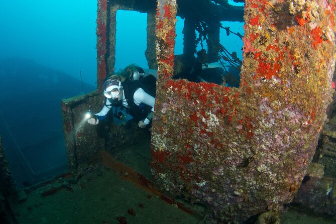 Half-Day Geographe Boat Dive Experience  - Busselton - Pricing and Guarantee